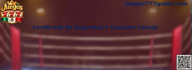 Guía de Juegos 777 para revisar certificados de seguridad HTTPS y conexiones cifradas