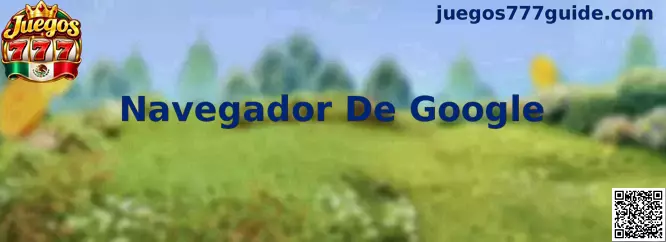 Navegador De Google y acceso digital
